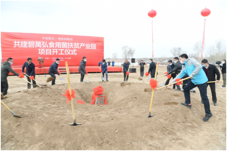 微信图片_20200426212832.png